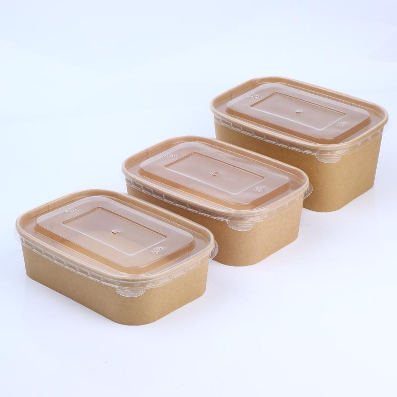Meal Prep Bowl - 10 Stück quadratische Einweg-Lebensmittelbehälter aus Kraftpapier