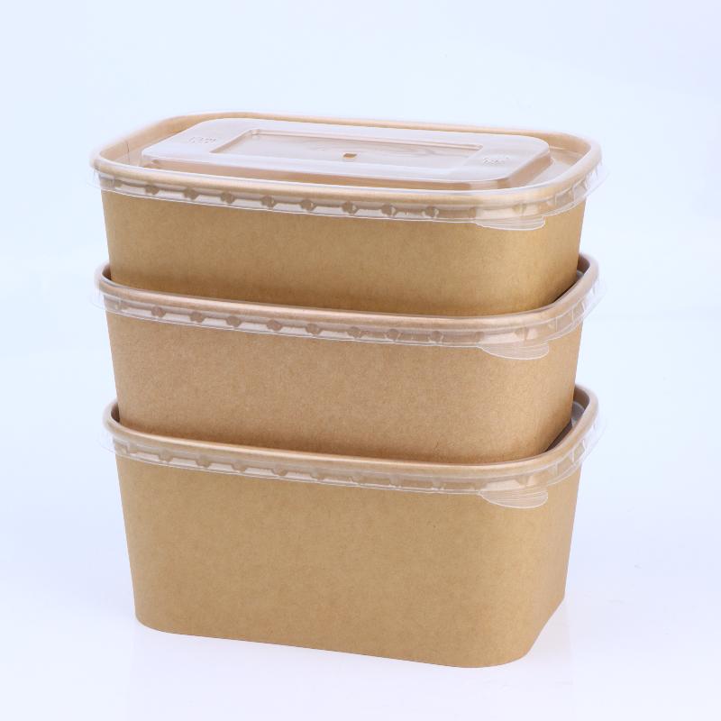 10 Stück quadratische Einweg-L – Meal Prep Bowl Bewertung und Preis