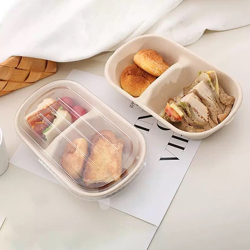 10/50 Stück Einweg-Takeaway-Bo – Meal Prep Bowl Bewertung und Preis