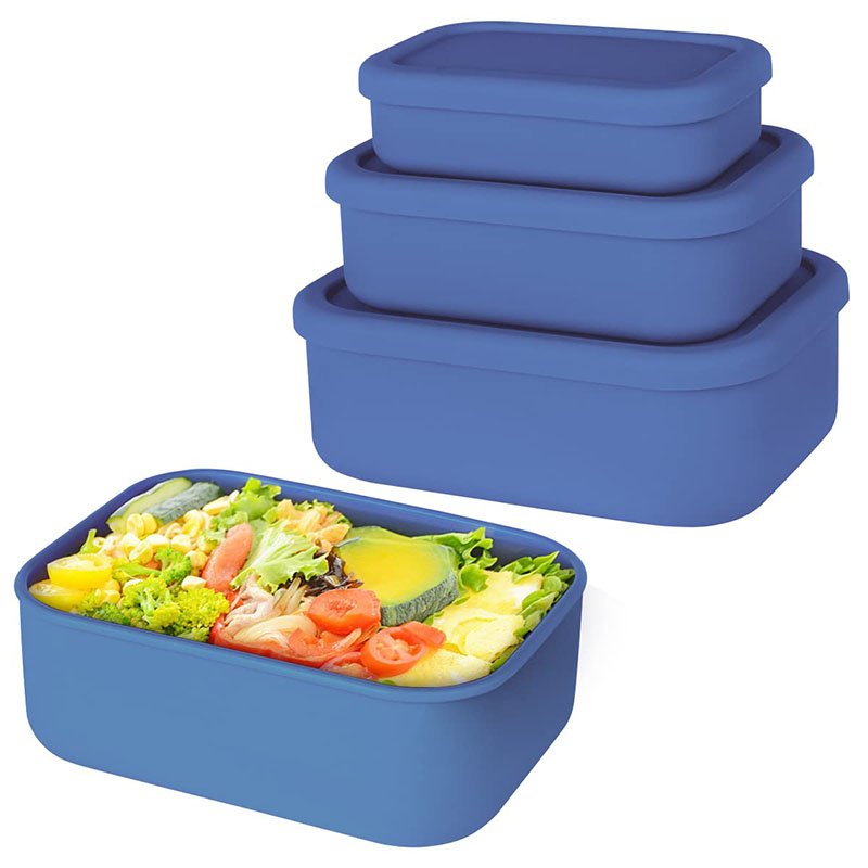 Auslaufsichere Bento-Lunchbox, – Meal Preparation Bewertung und Preis