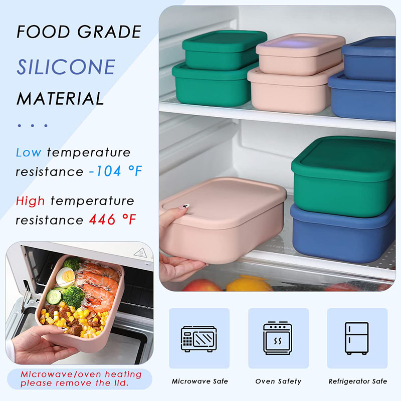 Auslaufsichere Bento-Lunchbox, – Meal Preparation Bewertung und Preis