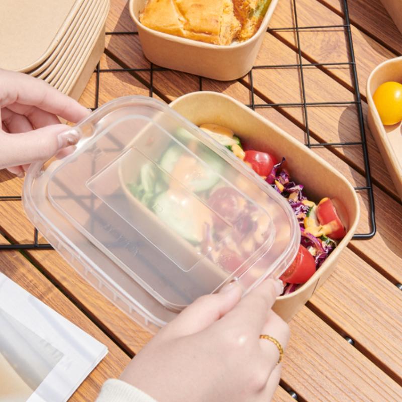 * 10 Stück/Set Einweg-Lunchbox – Meal Prep Bowl Bewertung und Preis